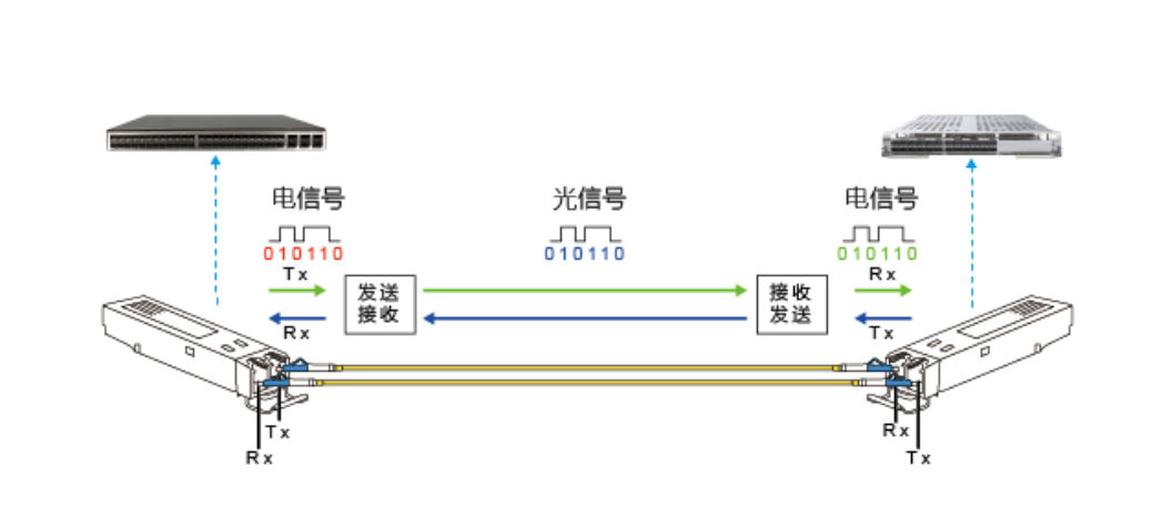 【科普】光？榈闹饕钢制骷的特征与光？榉庾跋村料热